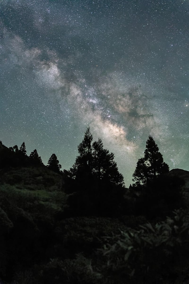 Silent night sky
